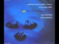 Icicle Works  'Understanding Jane'  1986