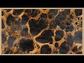 2 Hours Luxury Leopard Print Vintage Animal Skin Texture Frame TV Art 4K UHD Relaxing Screensaver
