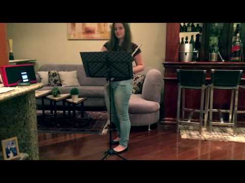 Lean On (feat. MO) - Major Lazer & DJ Snake Cover Flute