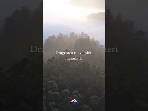 Dragostea nu va pieri niciodată!