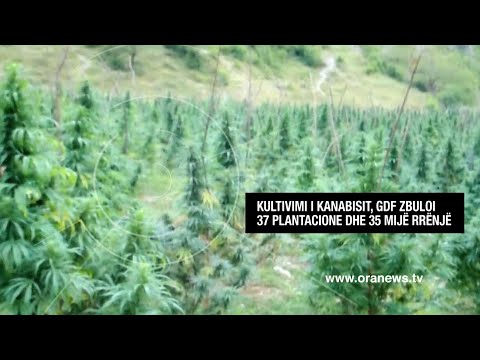 Edicioni informativ - 21 Qershor 2021 - Ora 12:00 - RTV Ora