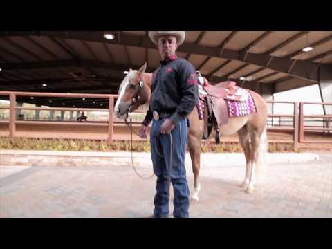 ROAD TO THE FUTURITY