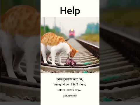 Help #reel #love #shayari #motivation #filmmusic