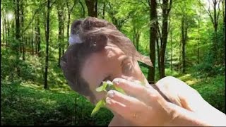 Refbatch's bizarre stories!