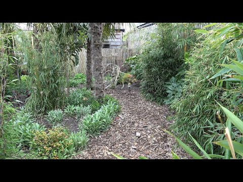 Tropical Show Garden, MyPalmShop Wezep