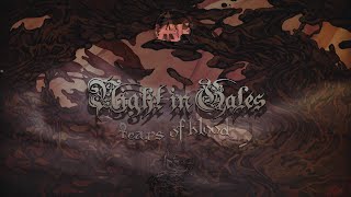 NIGHT IN GALES - Tears Of Blood (OFFICIAL LYRIC VIDEO)