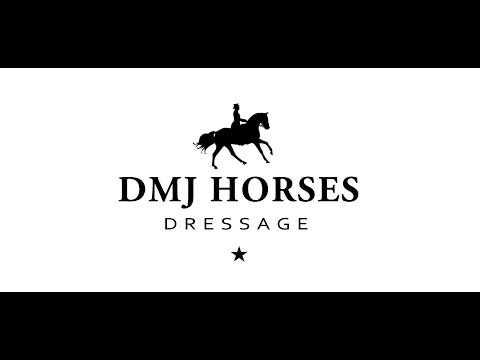 DMJ HORSES presents ★ DMJ LUCKY CHARM by Livaldon x Dannebrog