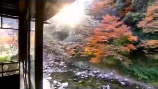 Keren Ann - In Your Back