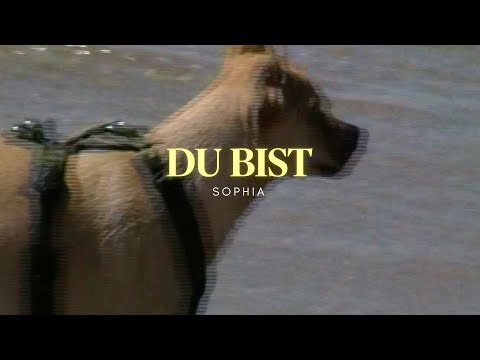 Video thumbnail for Du bist