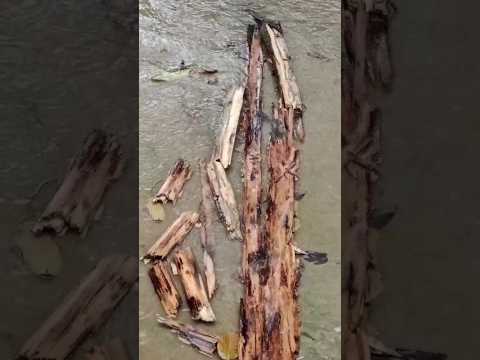 surah AL KAWTHAR 💟🤍🥀 #surahkawthar #egzonibrahimi #nature @egzonibrahimiofficial1977