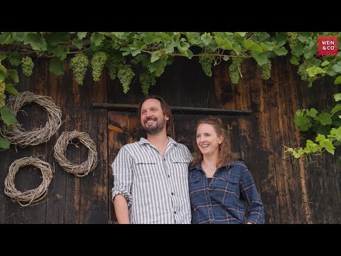 WEIN & CO zu Gast bei: Weingut Jurtschitsch
