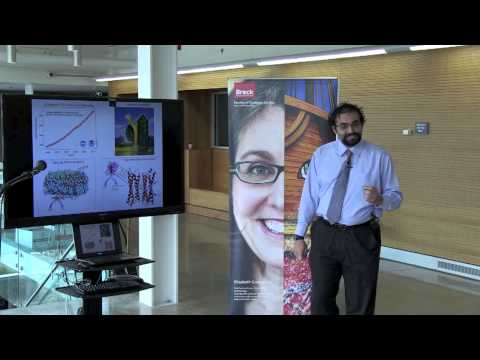 Brock 2014 3MT® Finalist — Abdullah Mahboob