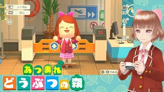 【あつ森】もまあまもの居候せいかつ