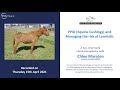 PPID Cushings And Managing The Risk Of Laminitis