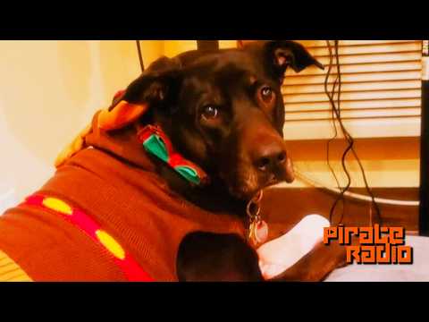 Pirate Radio - Tribute to Kahlua (House Music DJ Set + Live Guitars)