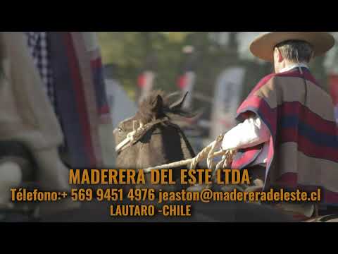 Movimiento a la rienda / Final de Rodeo Para Criadores 2026 de Cauquenes