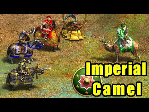 Imperial Camel Rider VS All kind of Cavalry | Age of Empires 2