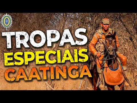Combatentes de Caatinga