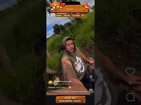 Vídeo de Xamã