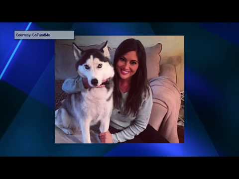 Fatal Hit & Run Death