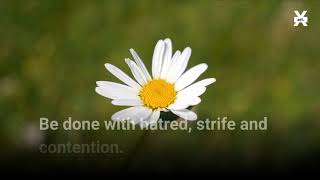 JULY 3, 2020 - SMALL STRAWS IN A SOFT WIND   Let this time be one of forgiveness and reconciliation.