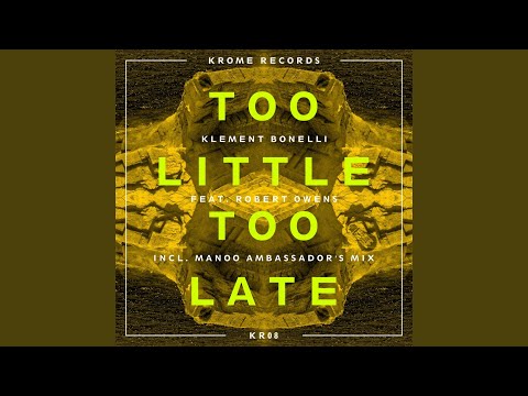 Too Little Too Late (Manoo Ambassador's Mix)