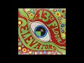 The 13th Floor Elevators - Monkey Island