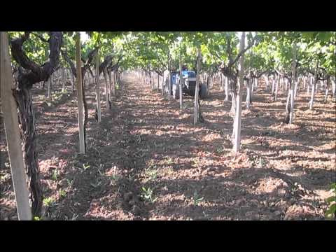 scalzatore interfilare DILEO EMANUELE