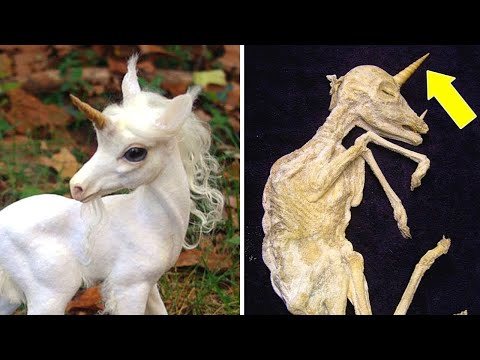 Fantasie wird Realität: Diese Kreaturen gibt es wirklich