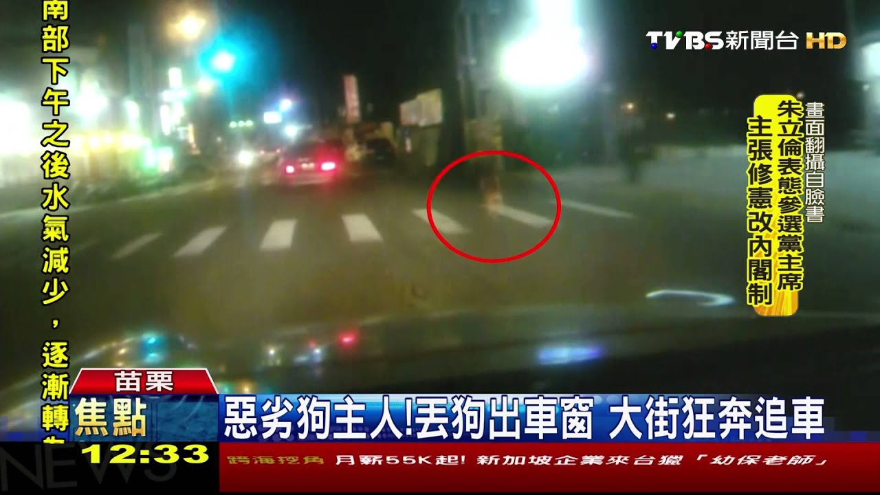 惡劣狗主人！丟狗出車窗　大街狂奔追車