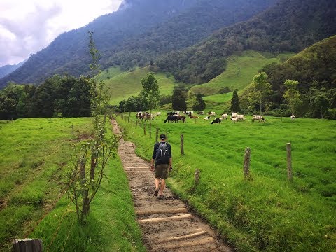 Thierry from Globetrotter: a journey through the world of provisions