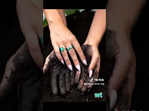 mi Otanche autor Santiago tovar Quipama Boyacá 2026