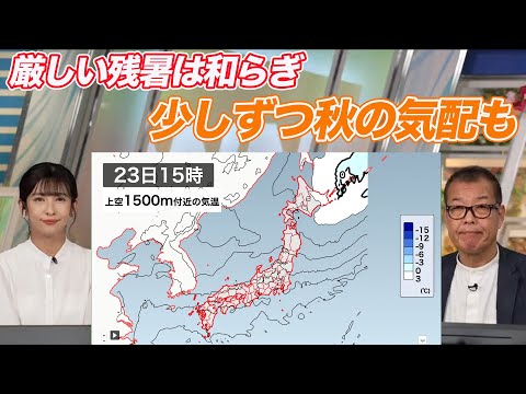 これは動物が天気について明らかにすることです 自然と動物