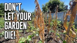 How I Keep My Garden Alive In 100 Degree Heat!