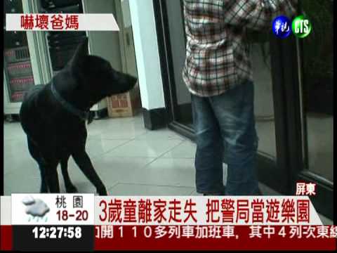 遛狗變蹺家!? 3歲童嚇壞爸媽