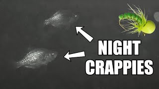 Night Crappie Fishing (Underwater Views) – First Ice Series (#4)