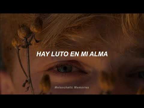 Los Terrícolas - Luto En Mi Alma (Letra)