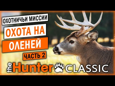 САМЫЕ ДОРОГИЕ МИССИИ НА БЕЛОХВОСТОГО ОЛЕНЯ! | Охотничьи Миссии | theHunter Classic 🐻 | (часть 2)