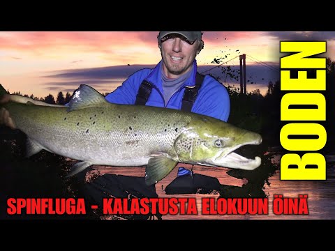 RUOTSIN LOHIKALAPAIKAT - BODENIN KALAVINKIT VOL.2 ( ELOKUUN LOHENKALASTUS / SPINFLUGA KALASTUS )