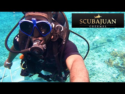 MY BEGINNER SCUBA DIVING LESSONS | NO EXPERIENCE SCUBA DIVING IN MEXICO