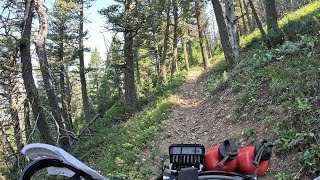 Little Belt Mountains Montana. Fun day of single track dirt bike trails in the heart of Montana!    