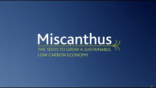 Miscanthus: The Seeds to Grow a Sustainable, Low-Carbon Economy