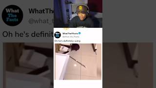 Download lagu And the Oscar goes to🤣🤣🤣🤣 #shortvideo #duet #funny mp3