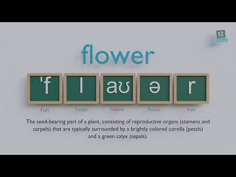 How to pronounce flower ?
