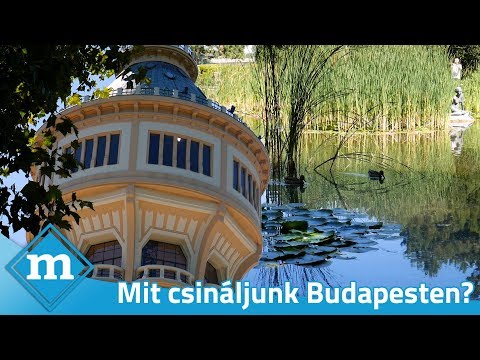 A Margit-sziget rejtett szépségei | Mit csináljunk Budapesten?