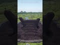 Largest Nether Portal | Tutorial l Timelapse build l #minecraft