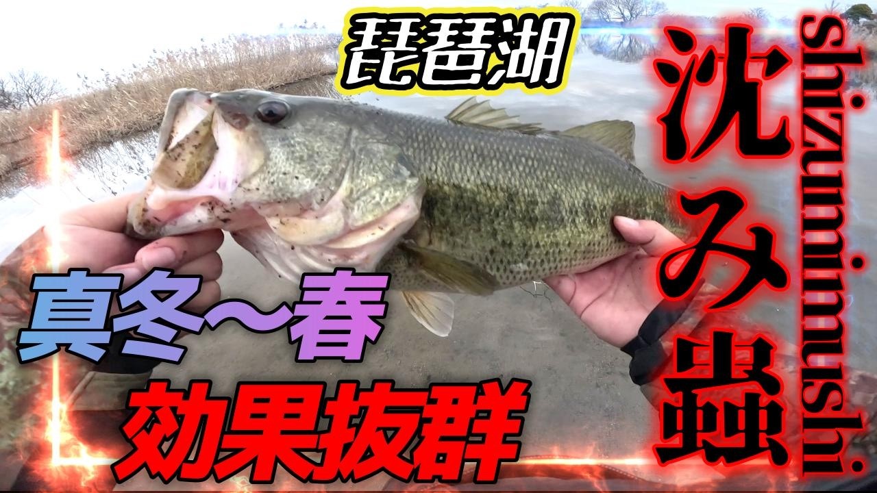 一誠-issei-沈み蟲でモンスターバス捕獲！今年初の50アップはパンパンのデカバス！【琵琶湖バス釣り】