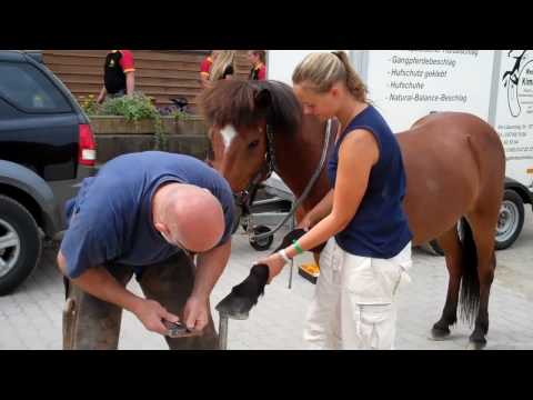 DJIM 2010 - Mix vom 31.07. - www.isibless.de