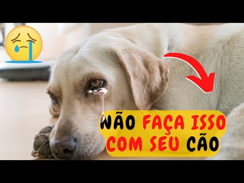 16 ATROCIDADES QUE MACHUCAM EMOCIONALMENTE SEU CÃO