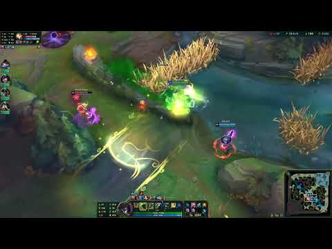 Singed Vs Lux - But no one has a brain.